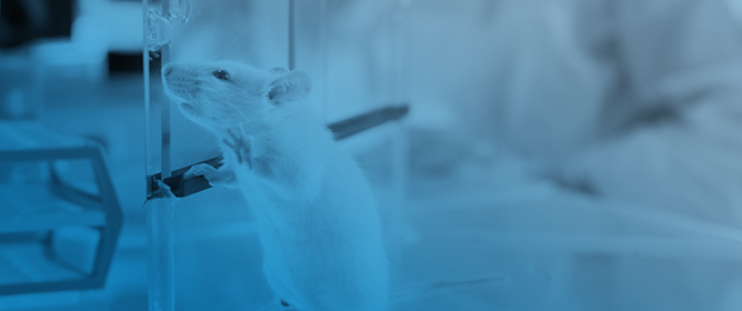 Methods for Assessing Neurodevelopmental Disorders in Mice: A Critical Review of Behavioral Tests and Methodological Considerations Searching to Improve Reliability