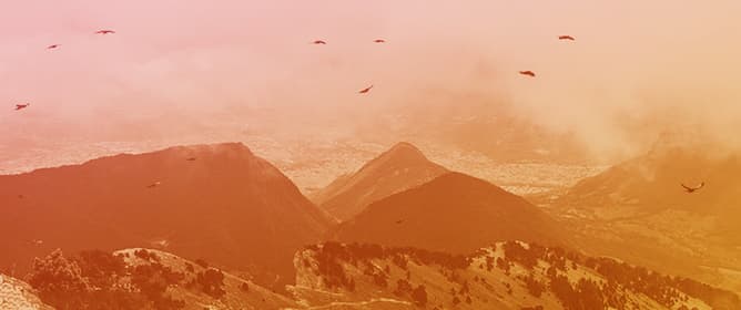 Hazards to Wild Birds Associated with Anthropogenic Structures and Human Activities in an Urbanised Area of the Alps