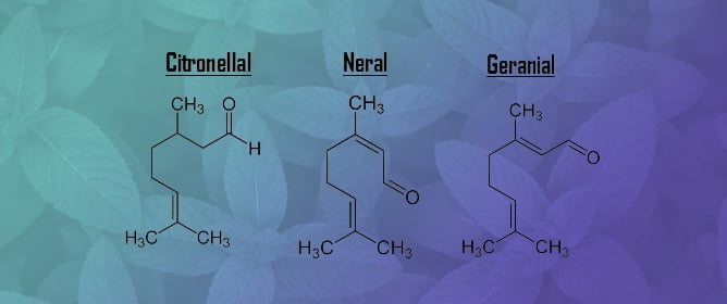 Optimization of the Drying Temperature for High Quality Dried <em>Melissa officinalis</em>