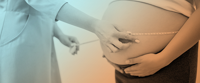 Perspectives on Perinatal Support and Maternal Mental Health: A Qualitative Cross-Cultural Study in Spain and Brazil