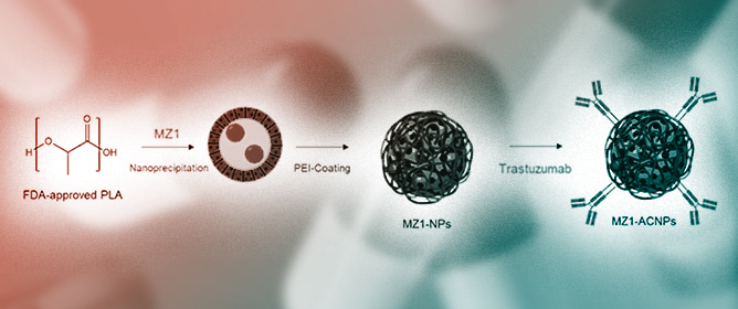 PROTAC Delivery Strategies for Overcoming Physicochemical Properties and Physiological Barriers in Targeted Protein Degradation