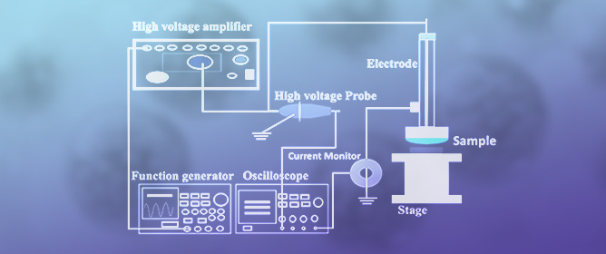 Absorption of FD-150 in Brain Endothelial Cells by Cold Atmospheric Microplasma