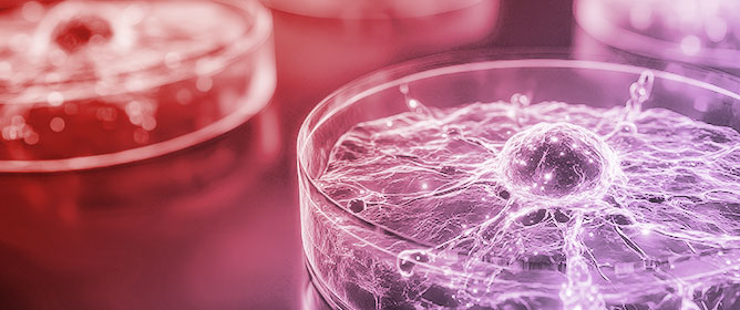 Three-Dimensional Culture Systems in Neuroblastoma Research