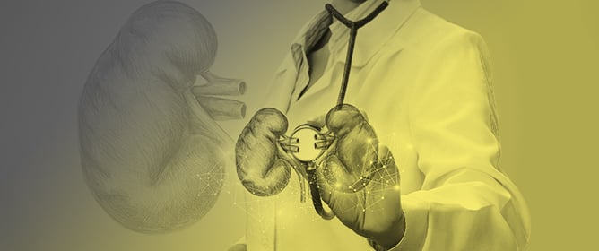 Functional Status and Transplant Outcomes in Elderly Kidney Recipients: A Systematic Review