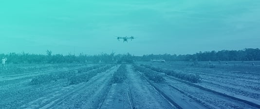 Flight Parameters for Spray Deposition Efficiency of Unmanned Aerial Application Systems (UAASs)
