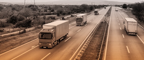 Fleet Coalitions For Sustainable Deliveries