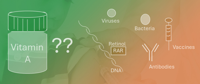 Clinical Trial of Pediatric Vaccinations With or Without High-Dose Vitamin A