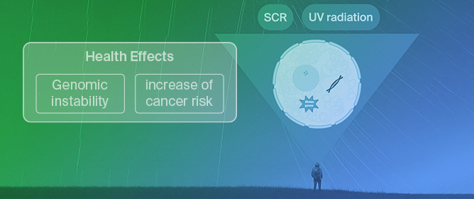 Synergistic Effects of SCR with UVB on Human Cells