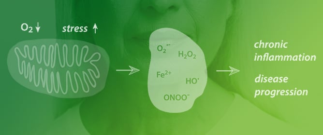 Oxidant-Based Cytotoxic Agents during Aging