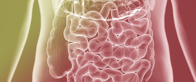 Intestinal Failure in Pediatric Vascular Ehlers&ndash;Danlos Syndrome