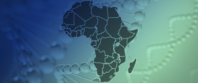 Scaling for African Inclusion in High-Throughput Whole Cancer Genome Bioinformatic Workflows