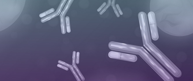 Fragment-Based Immune Cell Engager Antibodies in Treatment of Cancer, Infectious and Autoimmune Diseases: Lessons and Insights from Clinical and Translational Studies