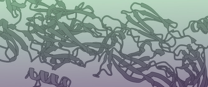 Generative Deep Learning Design of Single-Domain Antibodies Against Venezuelan Equine Encephalitis Virus