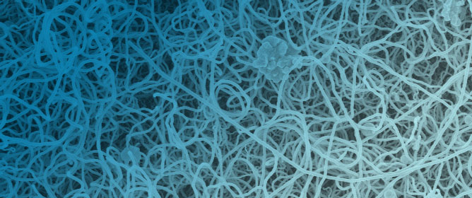Spatial Patterns in Fibrous Materials: A Metrological Framework for Pores and Junctions