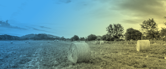 Land Cover and Trends in Temperature and Dew Point in Illinois