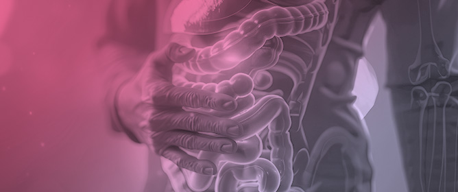 The Role of <em>Blastocystis</em> spp. in the Etiology of Gastrointestinal and Autoimmune Diseases