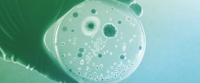 New Antibiotics for Lower Respiratory Tract Infections