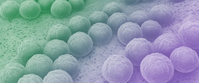 The Global Antimicrobial Resistance Trends of <em>Staphylococcus aureus</em> and Influencing Factors