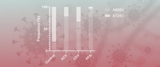 Primary HSV-2 Infection in an Immunocompromised Patient Reveals High Diversity of Drug-Resistance Mutations in the Viral DNA Polymerase