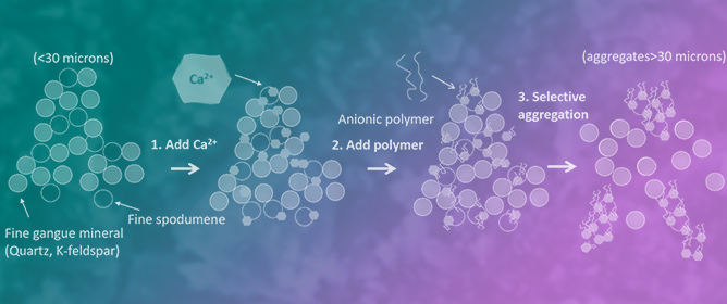 Selective Aggregation of Fine Spodumene from Quartz with Anionic Polyacrylamide Flocculant and Calcium Activator