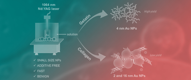 Direct Preparation of Biopolymer-Stabilized Aunps by Microchip Laser Ablation