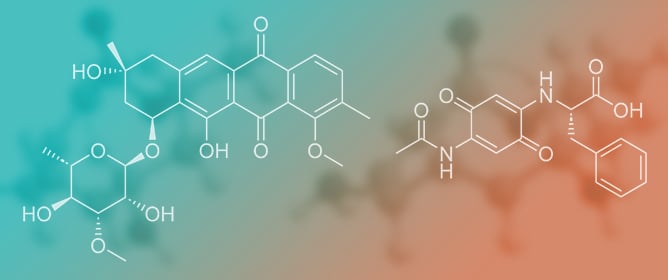 Isolation and Characterisation of Two New Lactones from the Atacama Desert-Derived Fungus <em>Chrysosporium merdarium</em>
