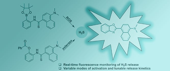 Self-Reporting H<sub>2</sub>S Donors: Integrating H<sub>2</sub>S Release with Real-Time Fluorescence Detection