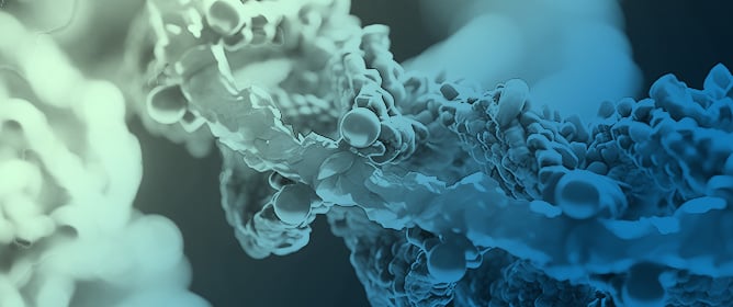 Captain Tardigrade and Its Shield to Protect DNA