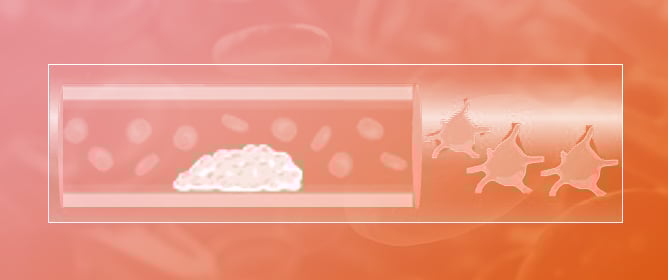 Novel Roles and Therapeutic Approaches Linking Platelets and Megakaryocytes to Non-Hemostatic and Thrombotic Disease