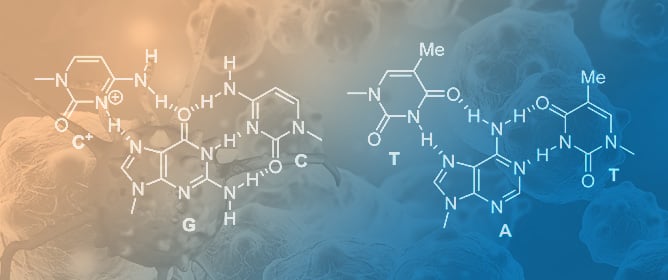 DNA Triplex-Formation by a Covalent Conjugate of the Anticancer Drug Temozolomide