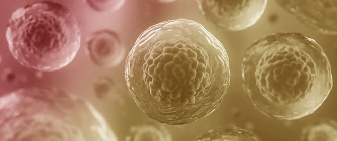VZV Reactivation and Effectiveness of Recombinant Adjuvanted Zoster Vaccine in Allo-HSCT Recipients