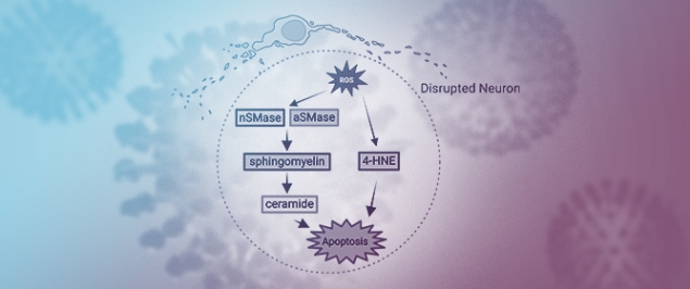 Oxidative Stress in HIV-Associated Neurodegeneration: Mechanisms of Pathogenesis and Therapeutic Targets