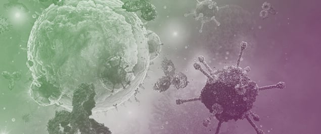 The Human Mycobiome: Composition, Immune Interactions, and Impact on Disease