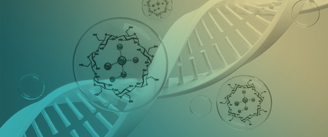 Cyclodextrins as Multifunctional Platforms in Drug Delivery and Beyond: Structural Features, Functional Applications, and Future Trends