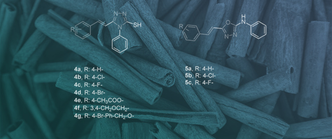 Synthesis and Molecular Modeling of Antioxidant and Anti-Inflammatory Five-Membered Heterocycle&ndash;Cinnamic Acid Hybrids