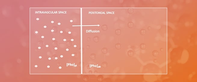 Peritoneal Dialysis: Phosphate Handling Model and Biomarkers in the Four-Hour Peritoneal Equilibration Test