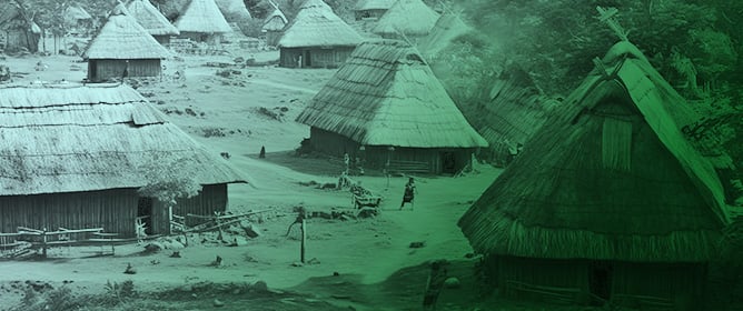 Perspectives on Early Amazonian Agriculture from Guyana and Venezuela