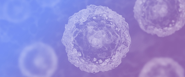 Stem Cells and Organoids: A Paradigm Shift in Preclinical Models Toward Personalized Medicine