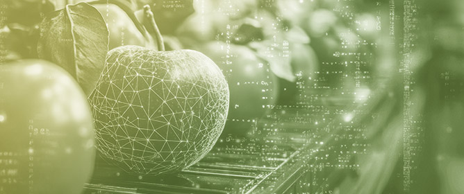 AI-Powered Innovations in Food Safety from Farm to Fork