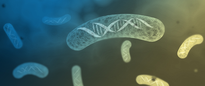DNA Replication in Time and Space: The Archaeal Dimension