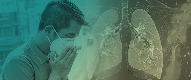Xenobiotic Toxicants and Particulate Matter: Effects, Mechanisms, Impacts on Human Health, and Mitigation Strategies