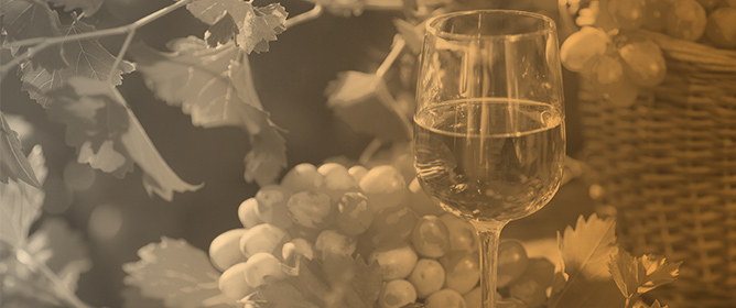 Potential of Different Eighteen Grapevine Genotypes to Produce Wines in a Hot Region: First Insights into Volatile and Sensory Profiles