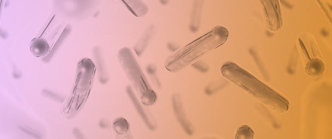 The Gut&ndash;Brain Axis and Probiotics in Beverages and Liquid Preparations: A PRISMA Systematic Review on Cognitive Function Enhancement