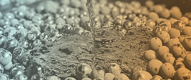 Unveiling the Regional Identity of Madeira Wine: Insights from <em>Saccharomyces cerevisiae</em> Strains Using Interdelta Analysis