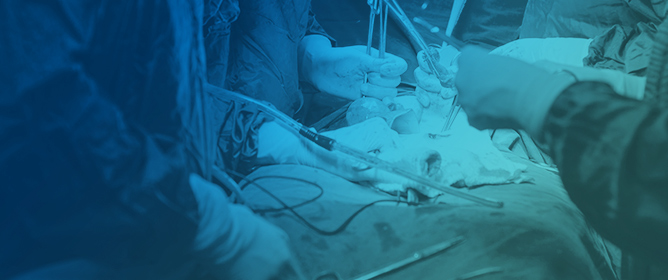 Multimodal Prehabilitation in Major Abdominal Surgery&mdash;Rationale, Modalities, Results and Limitations