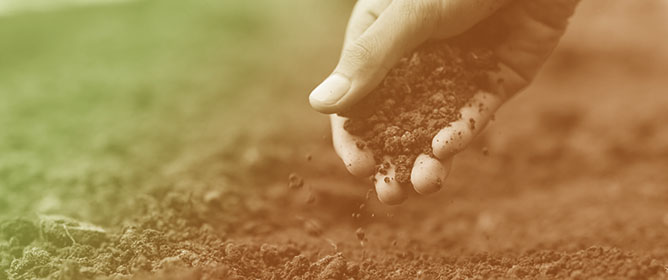 Plasticity, Flow Liquefaction, and Cyclic Mobility in Liquefiable Soils with Low to Moderate Plasticity