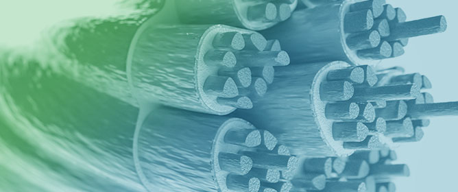Sustainable Tunable Anisotropic Ultrasound Medical Phantoms for Skin, Skeletal Muscle, and Other Fibrous Biological Tissues Using Natural Fibers and a Bio-Elastomeric Matrix