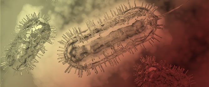 Comparative Review of Avibactam, Vaborbactam, and Relebactam Against Multidrug-Resistant Superbugs