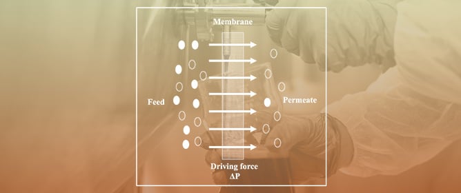 Applications of Reverse Osmosis and Nanofiltration Membrane Process in Wine and Beer Industry
