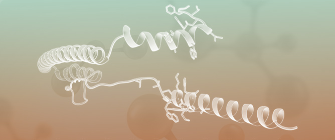 Inhibition of ISAV Membrane Fusion by a Peptide Derived from Its Fusion Protein